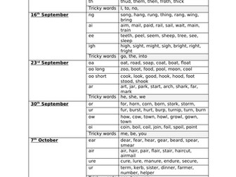 Phase 3 intervention outline