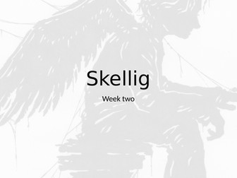 Skellig - KS3