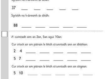 P2/P3 Gaelic maths baseline