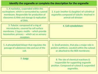 AQA. A-Level (GCE). Specialised cells