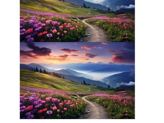 The power of imagery poetry scheme of work