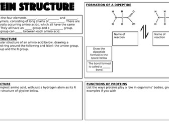 A Level Biology -  Proteins Worksheet