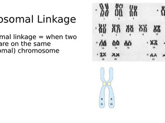 Autosomal linkage