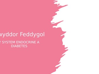 Gwyddor Feddygol - Y System Endocrin a Diabetes