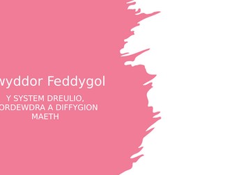 Gwyddor Feddygol - Y System Dreulio, Gordewdra a Diffygion Maeth