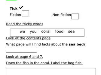 ORT Level 2 Reading Comprehension - Fish and Ships