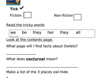 ORT Level 3 Reading Comprehension - Barn Owls