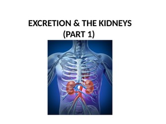 OCR A Level biology A H420 The Kidneys