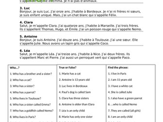 Year 7 term 1 Revision French