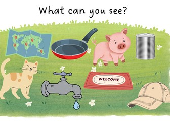 What can you see? CVC words