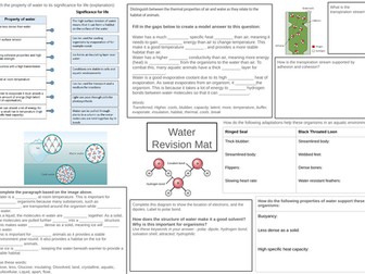 IB Biology Water Revision Mat Worksheet