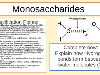 IB Carbohydrates Lesson - Mono and Polysaccharides