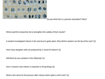 Mitosis Homework Overview Worksheet