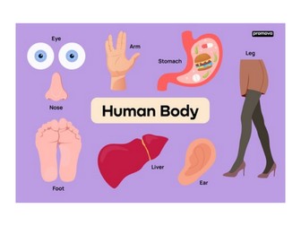 ESOL / EAL / English Functional Skills - Body Parts Presentation