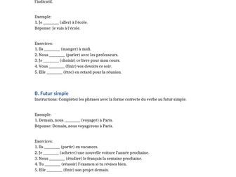 FRENCH GRAMMAR TEST