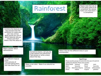 Rainforest topic homework