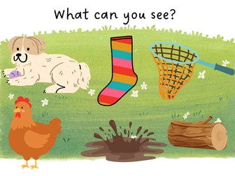 CVC What Can You See? - Set 2