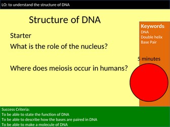 DNA structure