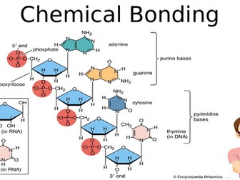 MYP 4 - Chemical bonding