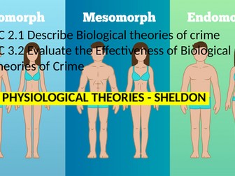 Criminology L3 WJEC Unit 2 ACs 2.1 & 3.2 Describe & Evaluate Sheldon's Physiological