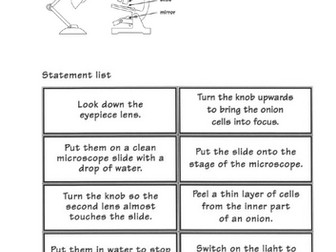 Y7 Cells Revision