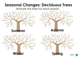 Seasonal Changes