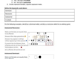 Genetic Pedigree Chart Workbook IB/ALevel