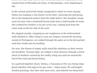 Edexcel GCSE English Language (Paper 2) Transactional Writing - Travel Writing Lesson