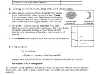 Blood components and vessels