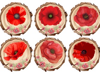 Remembrance Poppies