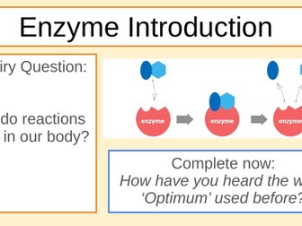 Enzymes Intro GCSE/MYP