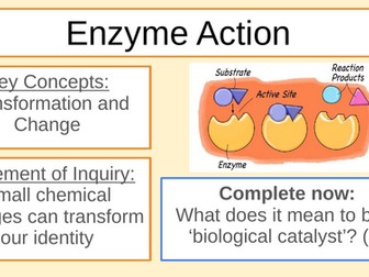 GCSE/MYP Enzymes - denaturation, temperature