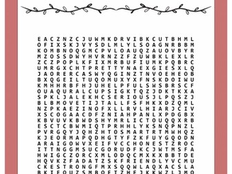 Personality and Appearance Word Search Puzzle Worksheet Activity