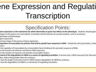 Gene Expression, Epigenetics Intro, mRNA Degradation, Transcription Factors IB HL/A-Level