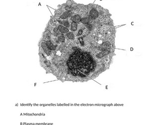 BTEC Unit 1 Biology Topic Test