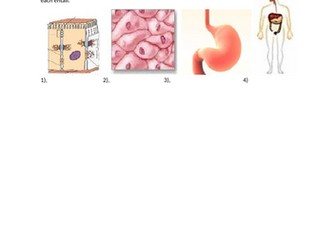 BTEC Unit 1 Biology Workbook and answer sheet