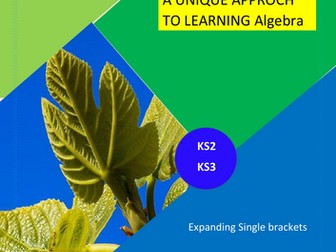 Expanding Single brackets