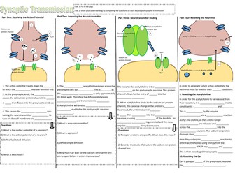 A Level Biology Synaptic Transmission Worksheet