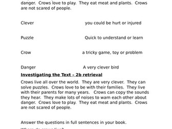 Curious crows and how birds fly comprehension lessons two week