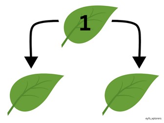 Beans - Composition of a number to 5