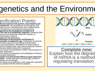 Epigenetics Lesson 2 IB HL/ALevel