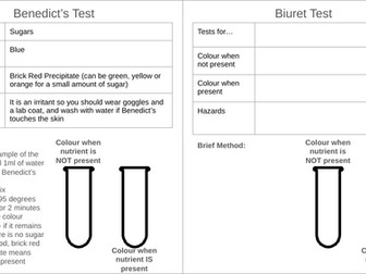 Food Tests Worksheet GCSE/MYP