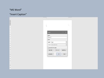 MS Word_insert caption