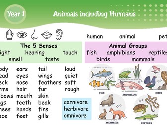 Primary Science Vocabulary