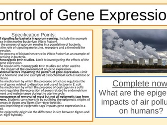 IB HL Gene Expression - Lac Operon & Oestrogen