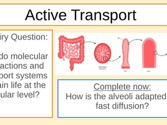 MYP/GCSE Bio Active Transport