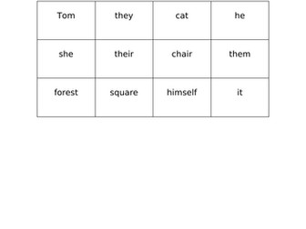 Noun or Pronoun?