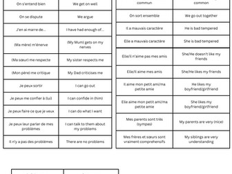 Family Relationships (Les Relations) Vocab Sheet