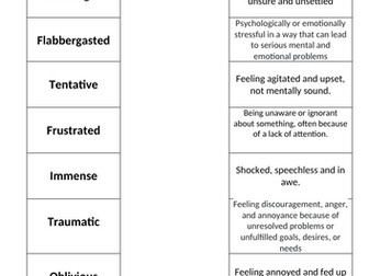 Vocabulary match up starters