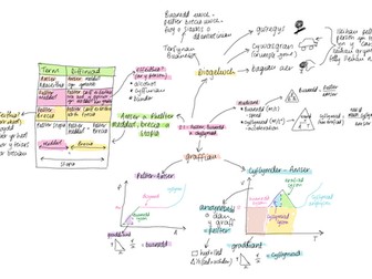 Mapiau Meddwl Adolygu Ffiseg 2 TGAU CBAC (Blwyddyn 11)